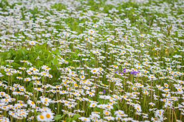 Similar image 19944822