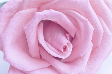 Similar image 20163064