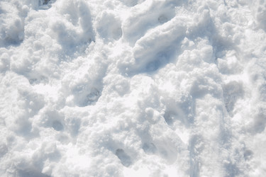 Similar image 20058443