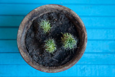 Similar image 20058451