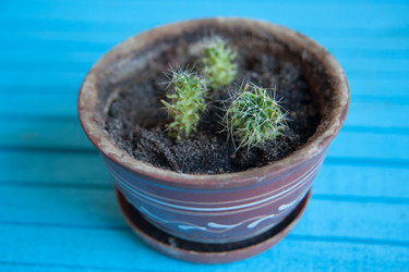 Similar image 20058452