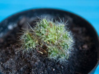 Similar image 20058453