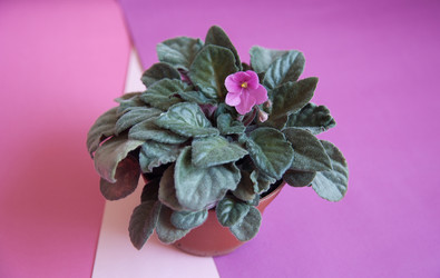 Similar image 20058454