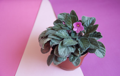 Similar image 20058455