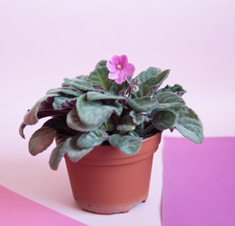 Similar image 20058457