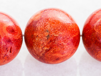 Similar image 20192462