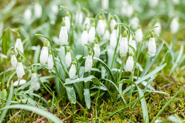 Similar image 20194457