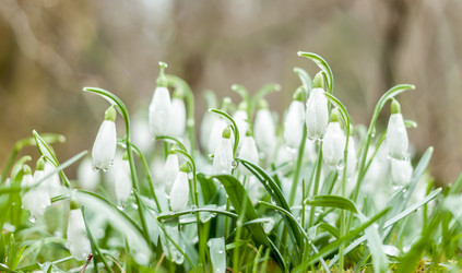 Similar image 20194418