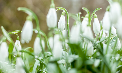 Similar image 20194426