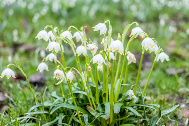 Similar image 20194431