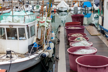 Similar image 20194672