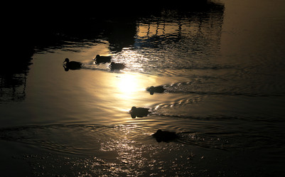 Similar image 19971696