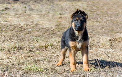 Similar image 19950557