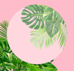 Similar image 20070672