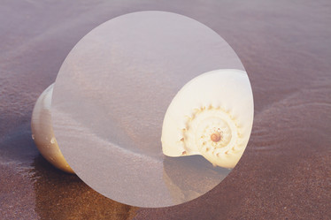 Similar image 20070674