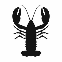 Similar image 20068016