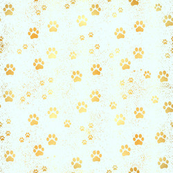 Similar image 20116355