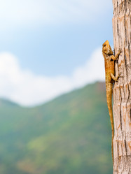 Similar image 20107499