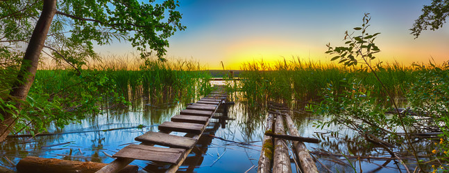 Similar image 20107514