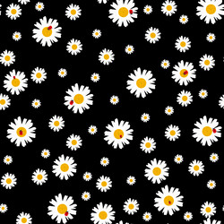 Similar image 20116320