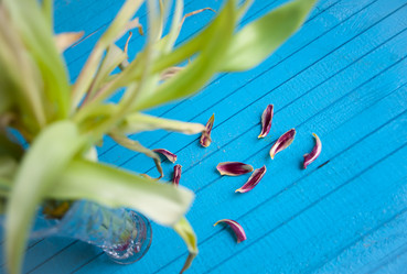 Similar image 20058372