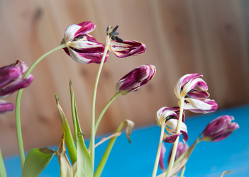 Similar image 20058373