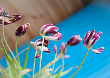 Similar image 20058374