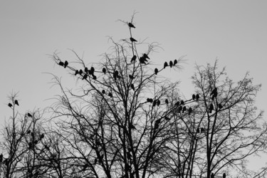 Similar image 19973063