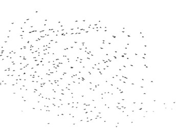 Similar image 19971719