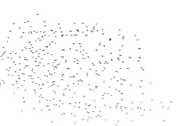 Similar image 19971721