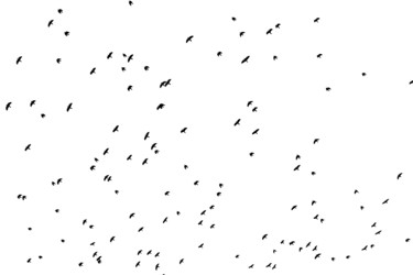 Similar image 19972858