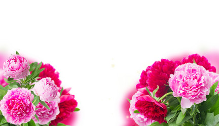 Similar image 20070699