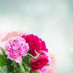 Similar image 20070700