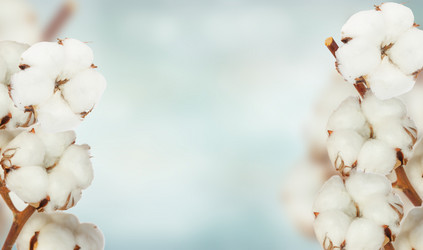 Similar image 20070701