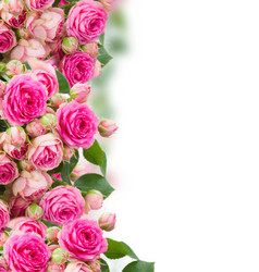 Similar image 20070704