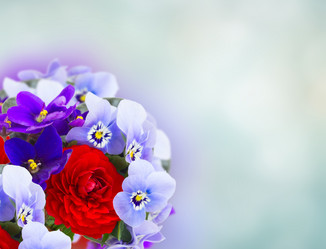 Similar image 20070705