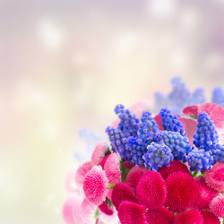 Similar image 20070706