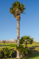 Similar image 20121400