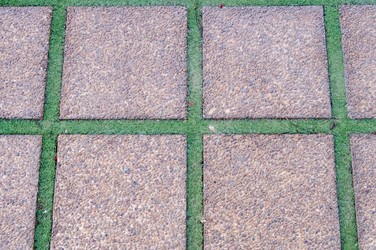 Similar image 20121409