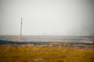 Similar image 20058815