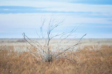 Similar image 20058818