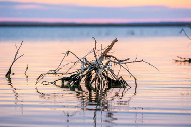 Similar image 20058820