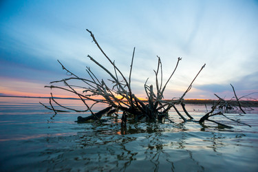 Similar image 20058822