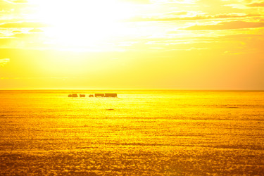 Similar image 20058691