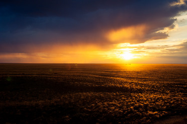 Similar image 20058699