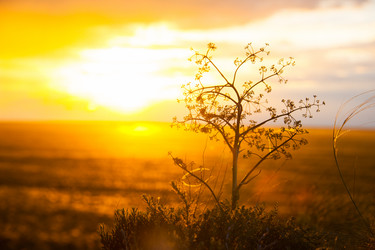 Similar image 20058700