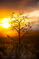 Similar image 20058701