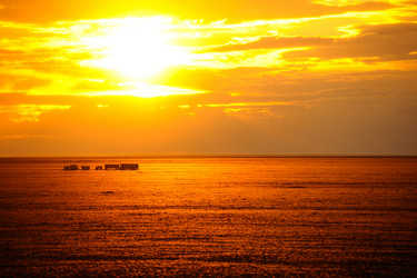 Similar image 20058702