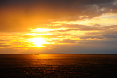 Similar image 20058703