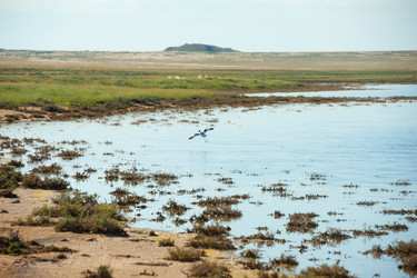 Similar image 20058704